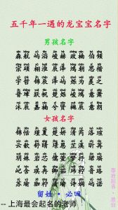 2024宝宝取名指南：寓意美好，五行相生，龙宝宝专属推荐