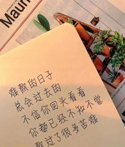 异地分居女性：坚韧面对孤独挑战