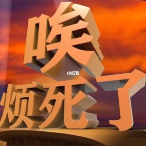 化解逆境情绪：心理调适与生活平衡秘籍