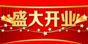新店开业困境解析及破局策略