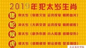 职场难题轻松解：风水与心理调适的职场幸福秘籍