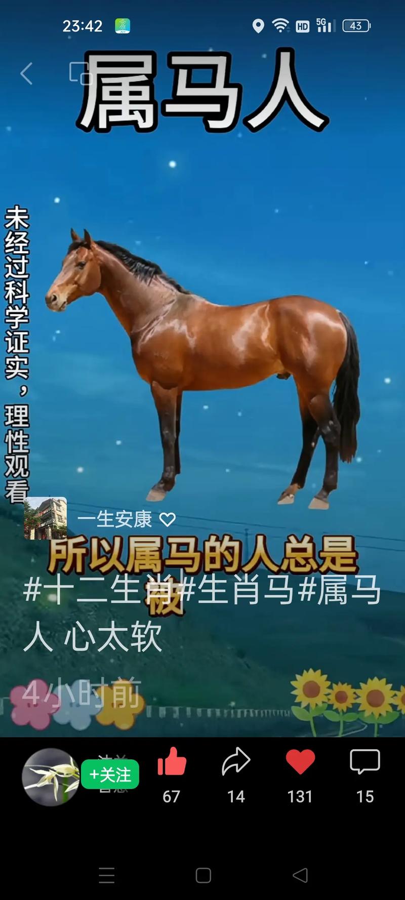 属马男人：真诚热情的浪漫守护者