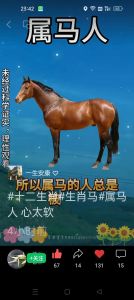 属马男人：真诚热情的浪漫守护者