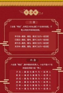 生肖鼠蛇猴猪半月财富风暴：事业巅峰时刻来临！
