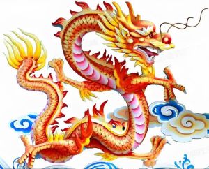 生肖鸡：揭秘最佳配对及缘分之谜
