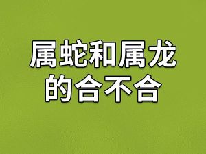 揭秘生肖猴最佳配对：蛇鼠龙的文化奥秘