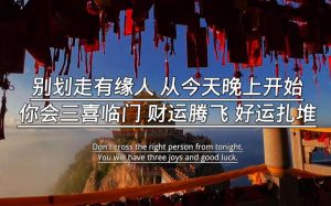 2025生肖好运来袭：鼠龙狮子天秤，三喜临门，事业财运爱情丰收