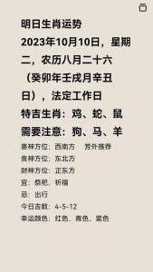 12月19日生肖运势揭秘：运势起伏，把握时机！