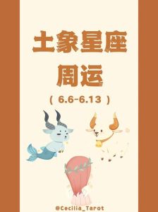 2025年生肖星座职场逆袭攻略：龙蛇狮处女教你成功秘诀