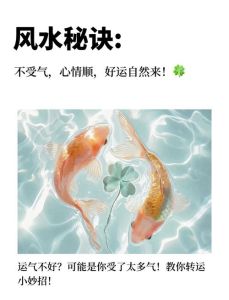 职场转运秘籍：全方位指南，轻松提升工作运势！