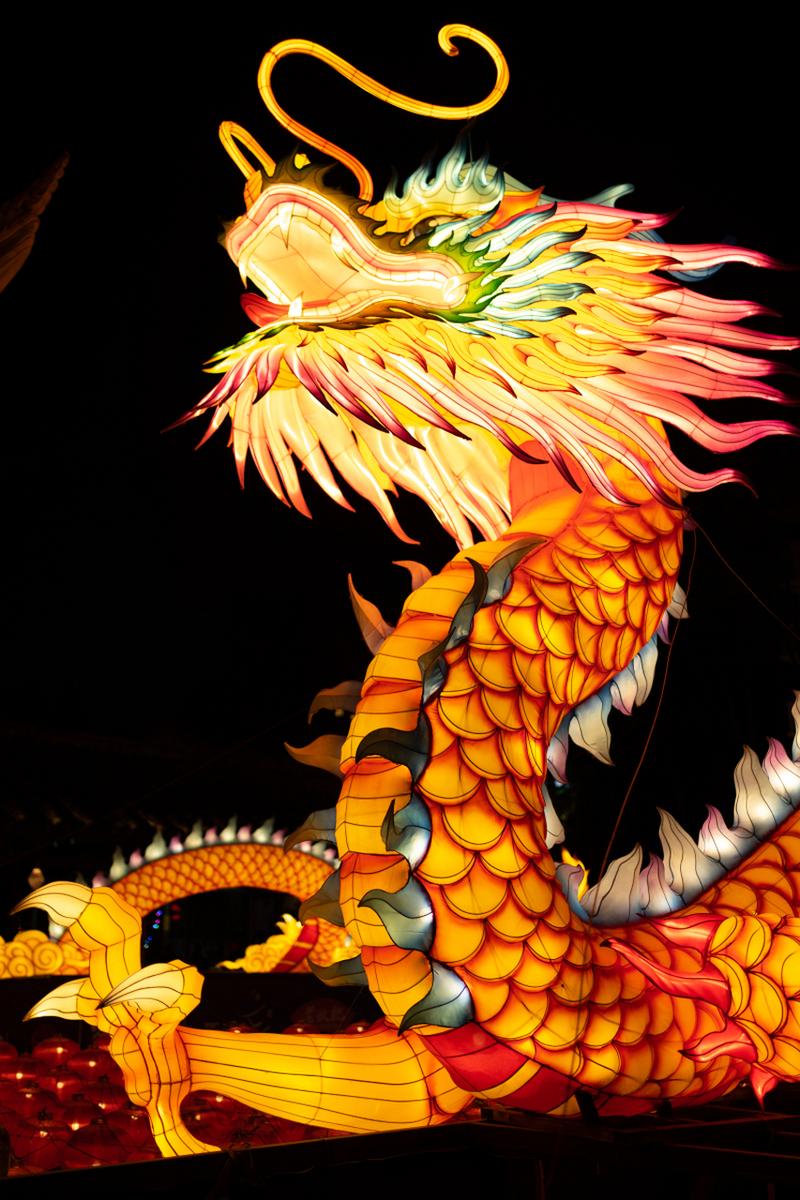 生肖龙最佳拍档揭秘：鸡猴鼠的智慧火花