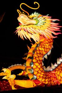生肖龙最佳拍档揭秘：鸡猴鼠的智慧火花