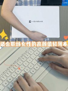 职场精英摩羯天蝎处女恋爱挑战揭秘
