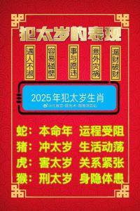 2025生肖运势：爱情财运事业挑战解析