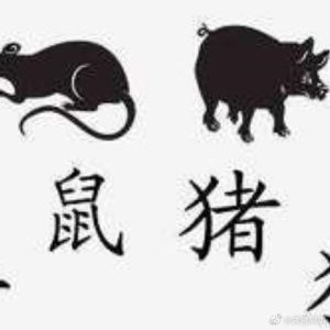 生肖鼠最佳配对揭秘：龙猴牛，性格密码大解析