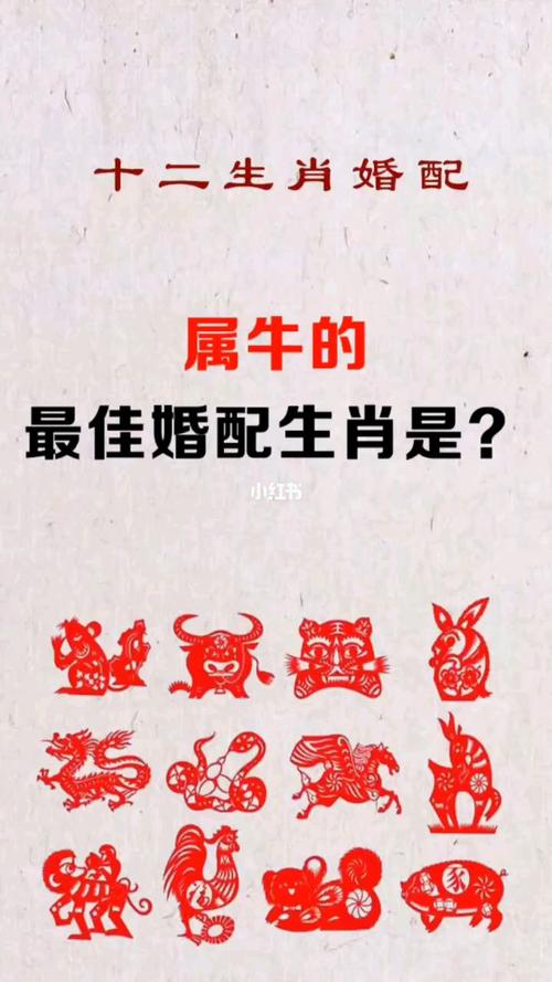 十二生肖配对揭秘：牛的最佳姻缘奇遇记
