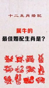 十二生肖配对揭秘：牛的最佳姻缘奇遇记