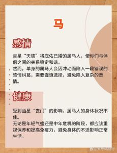 生肖马12月运势：避开三大禁忌，好运伴你驰骋人生