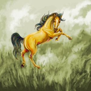 12月20日生肖运势大逆袭：狗年跃升，事业腾飞！