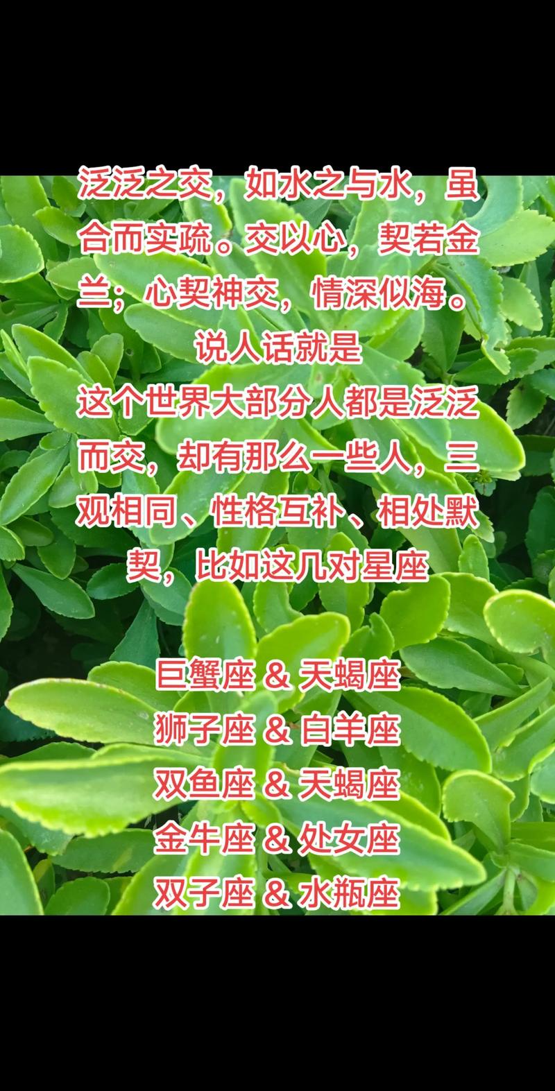 高智商星座女生抑郁心理：关注双鱼天蝎处女座水瓶座
