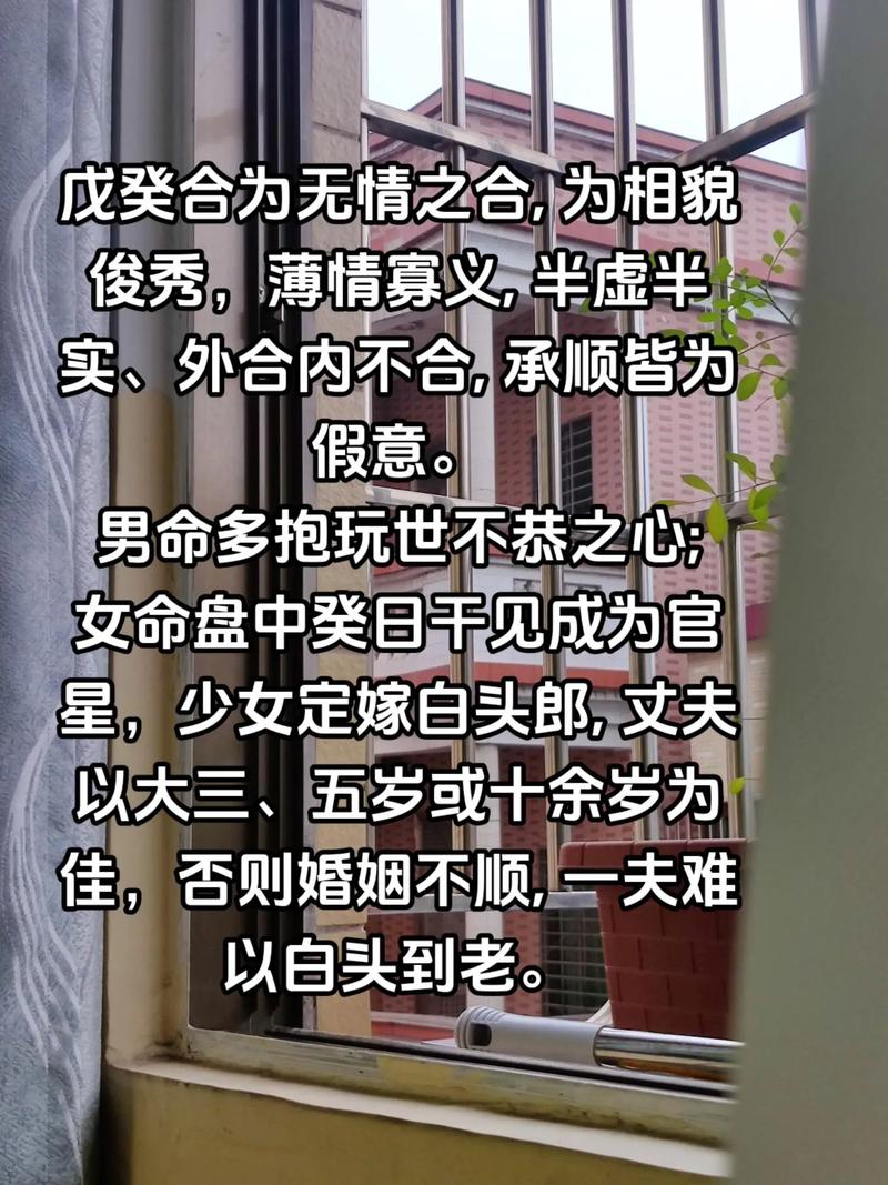 二婚夫妻合婚之路：挑战与幸福，白头到老的祈愿