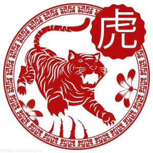 生肖运势揭秘：年底事业腾飞，谁将脱颖而出？