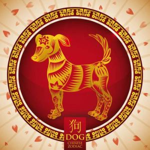 12月生肖运势：龙蛇狗马全面开花，好运如影随形！