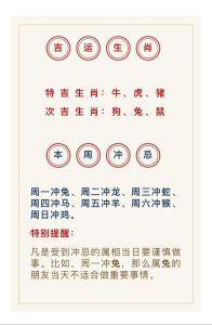 12月十二生肖运势详解：未来七天运势预测！