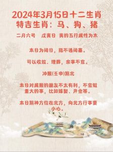 2024年12月19日生肖运势指南：揭秘转运日