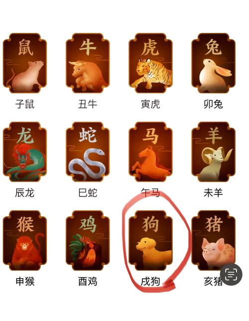 兔猴狗鸡本周运势揭秘：好运来袭，抓住机遇！