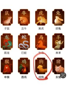 兔猴狗鸡本周运势揭秘：好运来袭，抓住机遇！