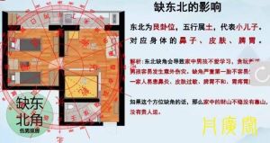阳宅风水：屋大人少凶吉之谜，揭秘住宅人气与阴阳平衡