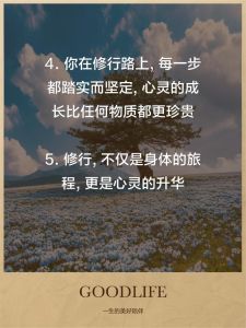 心灵之旅：探寻健康积极，感悟生命之美