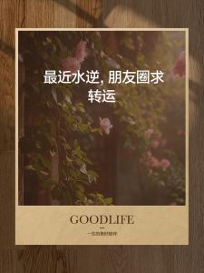 破解霉运秘籍：重拾好运的神奇方法大揭秘