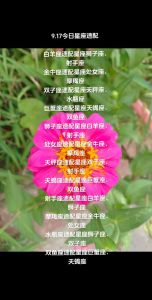 情深义重星座：白羊狮子天秤射手成就事业之道