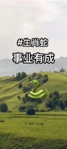 生肖牛蛇狗晚年福气揭秘：幸福晚年如何炼成？