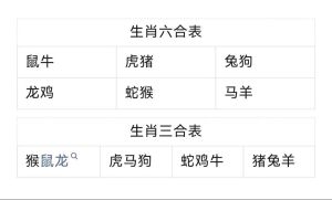 生肖运势解析：茅盾视角下虎猪马12月19日运势及个人努力