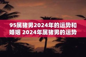 2024年12月26日：属猪人运势巅峰，事业财运双丰收