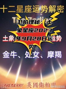 2025年星座运势：四大星座事业生活双丰收指南