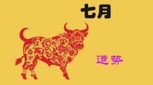 12月18日运势旺：马龙鼠大爆发，财运事业双丰收！