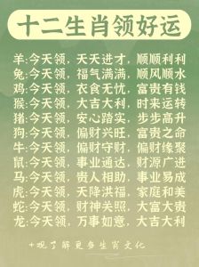 12月18日生肖运势：龙猴狗好运来袭，事业爱情财运旺