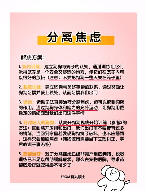 焦虑症平衡之道：独处与陪伴，走出阴霾的秘诀