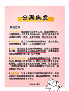 焦虑症平衡之道：独处与陪伴，走出阴霾的秘诀