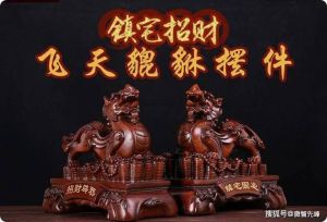 家运揭秘：空鱼缸废旧电器药瓶如何影响家居幸福？
