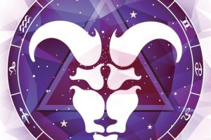 十二星座爱情事业抉择：平衡之道，幸福追寻