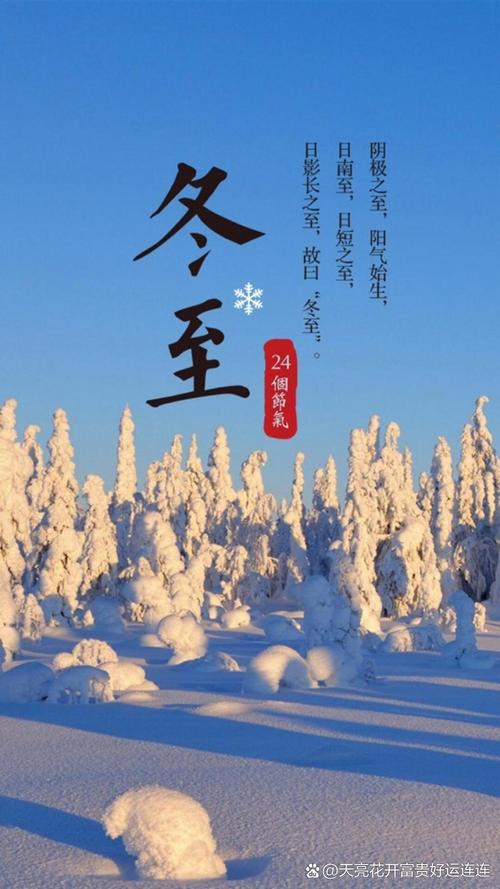 生肖转运指南：虎兔鸡吉星高照，冬至迎好运！