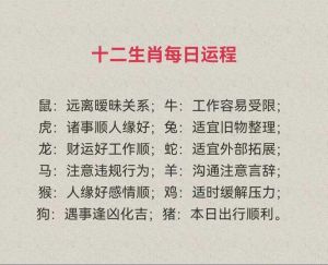 生肖今日运势详解：运势起伏大揭秘