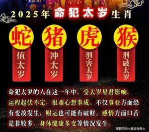 2025运势大爆发：生肖财运高潮，存款翻倍秘籍