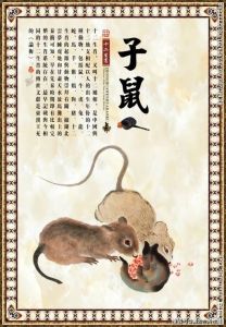 2025年生肖运势：鼠龙猴鸡职场翻身机遇