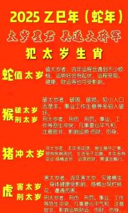 2025生肖盛宴：鼠龙羊猪财运亨通，书写财富故事